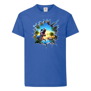 Boys Dinosaur T shirt