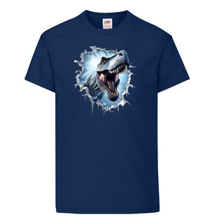 Boys Dinosaur T shirt