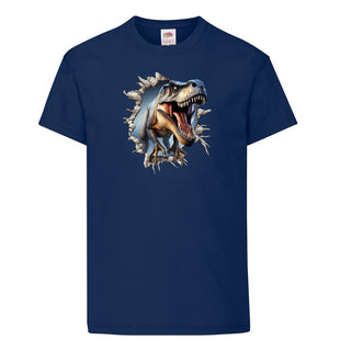Boys Dinosaur T shirt