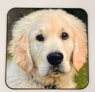 Personalised Photo Coasters – Custom Pet, Family & Friend Gifts