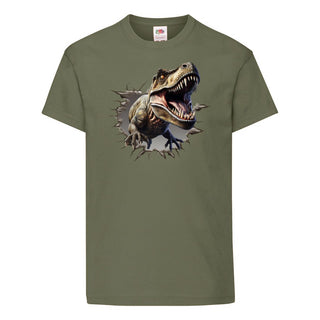 Boys Dinosaur T shirt