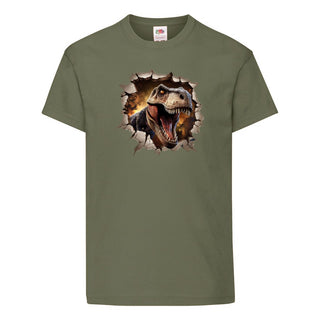 Boys Dinosaur T shirt