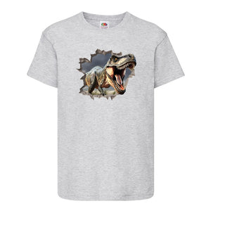 Boys Dinosaur T shirt
