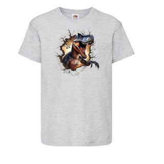 Boys Dinosaur T shirt