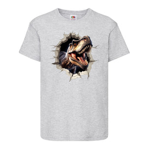 Boys Dinosaur T shirt