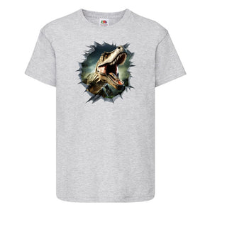 Boys Dinosaur T shirt